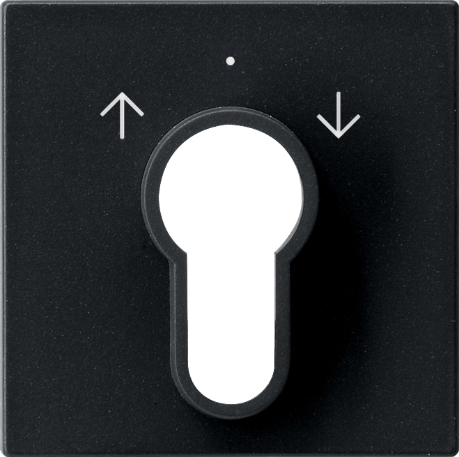 1St. Gira 0664005 Abd. Schlüsselschalter/-taster System 55 Schwarz m