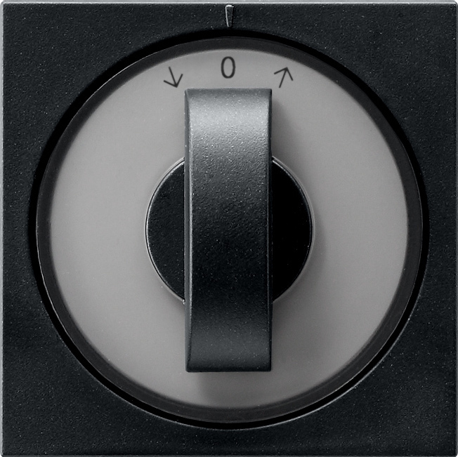 1St. Gira 0666005 Abd. Knebel Zeitschalter + Jalousie System 55 Schwarz m