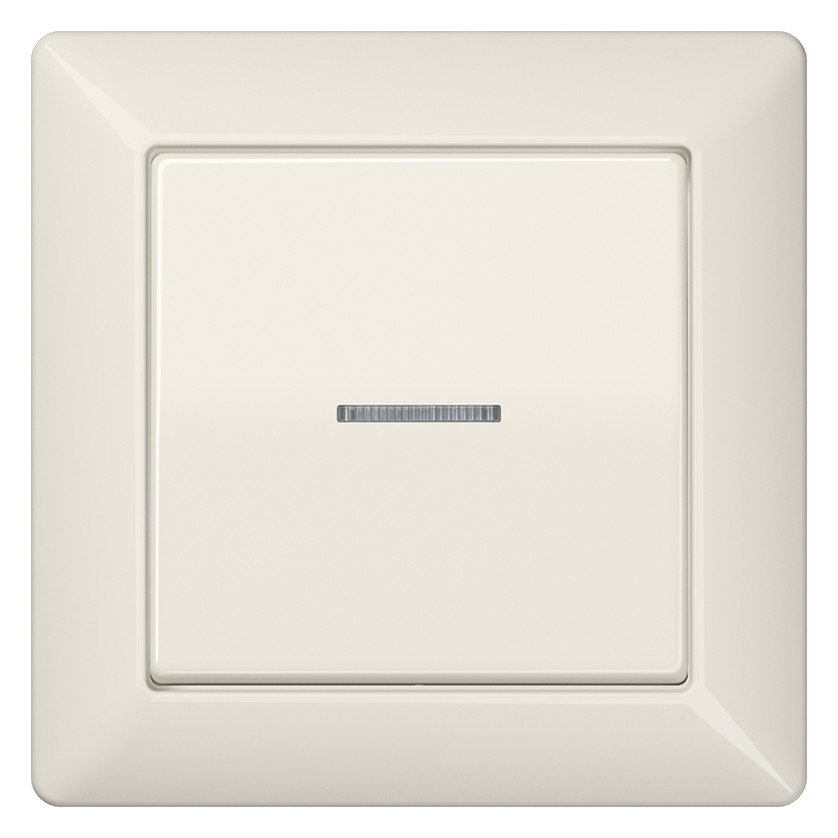 1St. Jung AS590KO5 Abdeckung Linse Lichtleiter volle Platte für Wipp-Kontrollschalter Tast-Kontrollschalter beleuchtbare