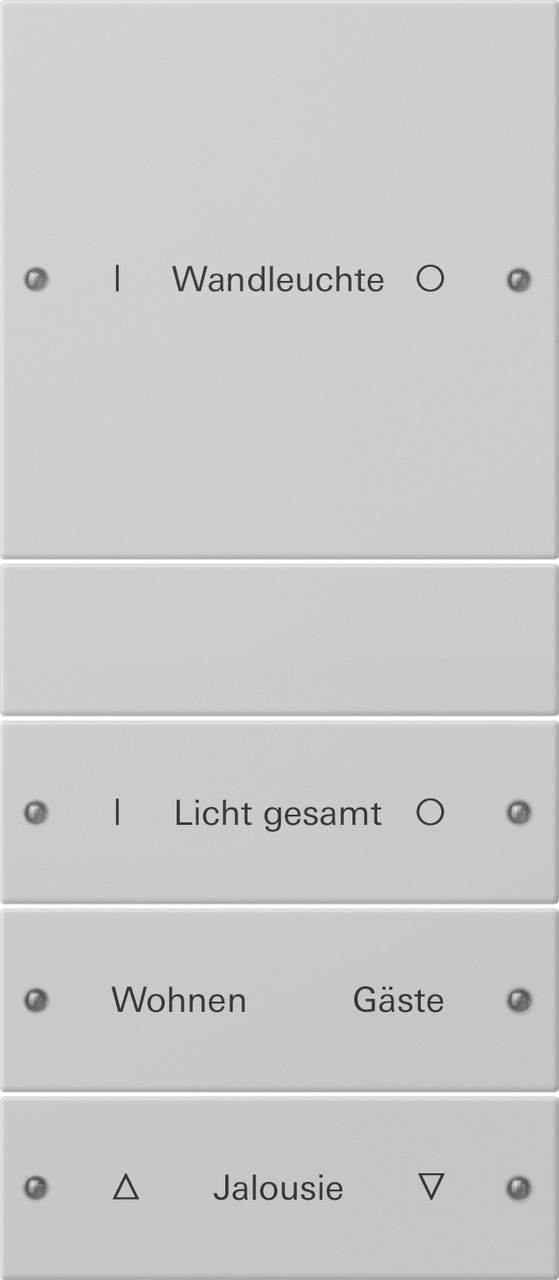 1St. Gira 2204015 Wippenset 4f (1+3) beschr. System 55 Grau m(lack.)