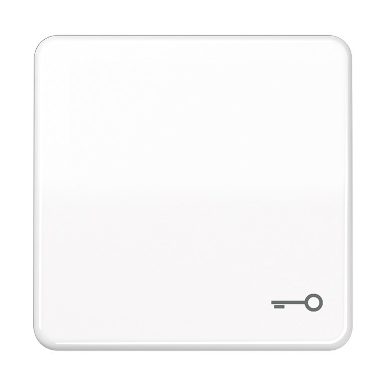 1St. Jung CD590TWW Wippe mit Symbol Tür Alpinweiß CD 590 T WW