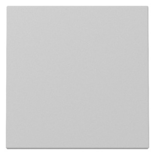 1St. Gira 3296015 Wippe System 55 grau matt