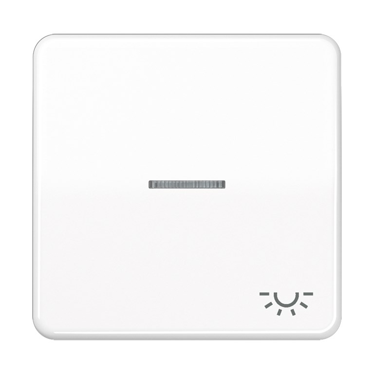 1St. Jung CD590KO5LWW Wippe mit Symbol Licht KO Alpinweiß CD 590 KO5L WW...
