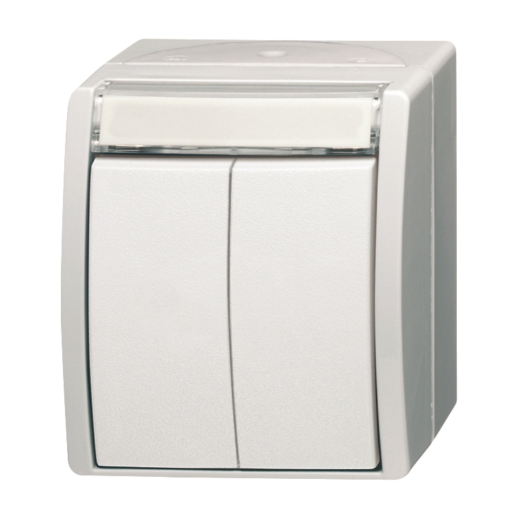 1St. Busch-Jaeger 2621 WN-54-205-101 Doppeltaster/Serientaster, 2 Schließer, 1-polig (Arbeitsstrom) ocean (IP 44) alpinw