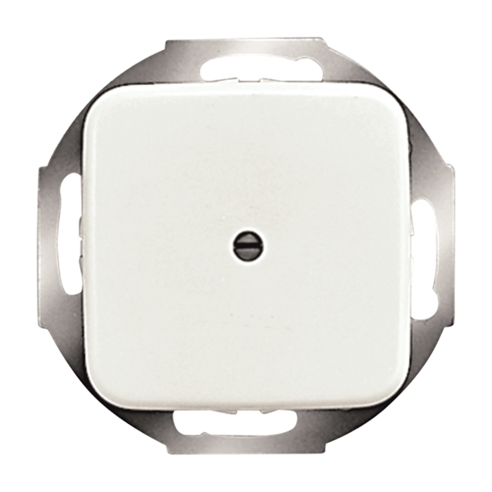 1St. Busch-Jaeger 2527-214 Zentralscheibe, mit Leitungsauslass Reflex SI alpinweiß