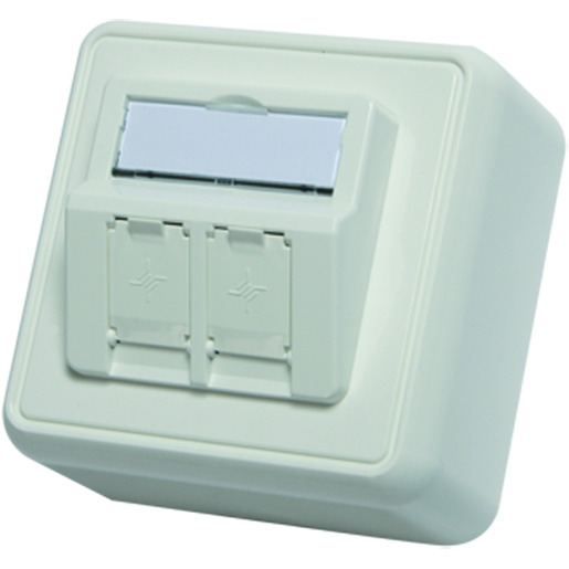 1St. Modul-Aufnahme aufbauend 80x80mm, 2-fach AP alpinweiss