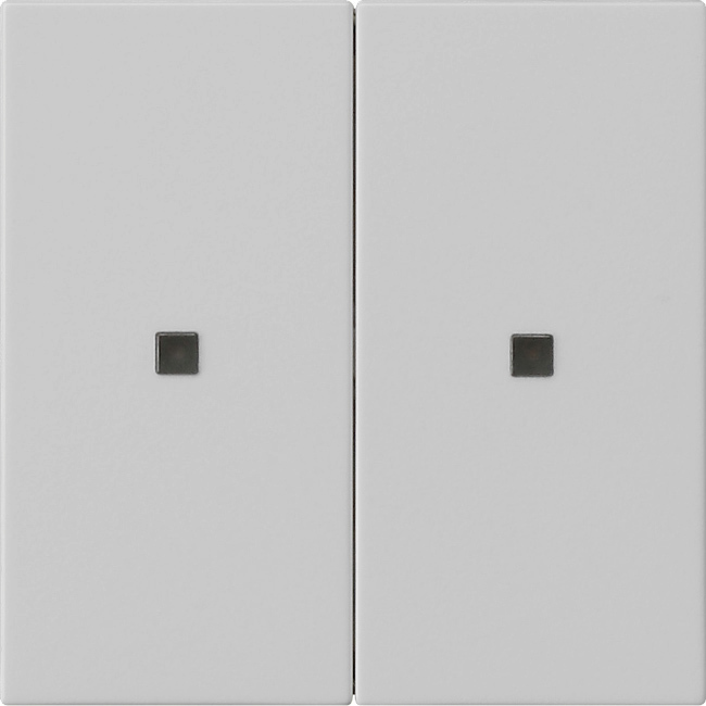 1St. Gira 5369015 S3000 Wippe 2f unbedruckt System 55 Grau m