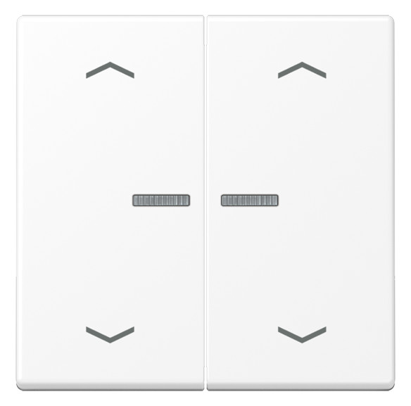 1St. Jung BT A 17102 P WWM Jung HOME Taster 2fach, mit Pfeilsymbole 1St. Jung BT A 17102 P WWM Jung HOME Taster 2fach, mit Pfeilsymbole