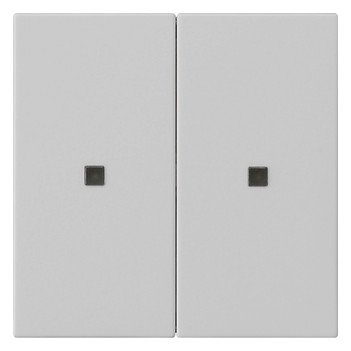 1St. Gira KNX RF Bedienaufs.2f System 5107015 55 Grau m