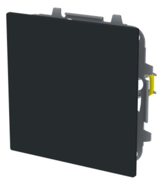 1St. Busch-Jaeger 1742-45M Blindzentralscheibe mit Tragring