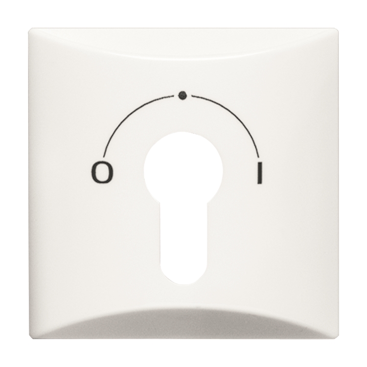 1St. Busch-Jaeger 2155 SLPZ-34 Zentralscheibe, mit Aufdruck Allwetter 44 (IP 44) alpinweiß