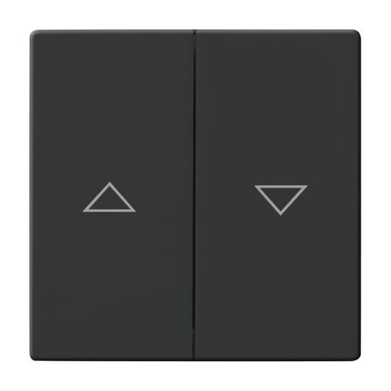 1St. Busch-Jaeger 1785 JA-81 Wippe, mit Aufdruck Busch-dynasty anthrazit