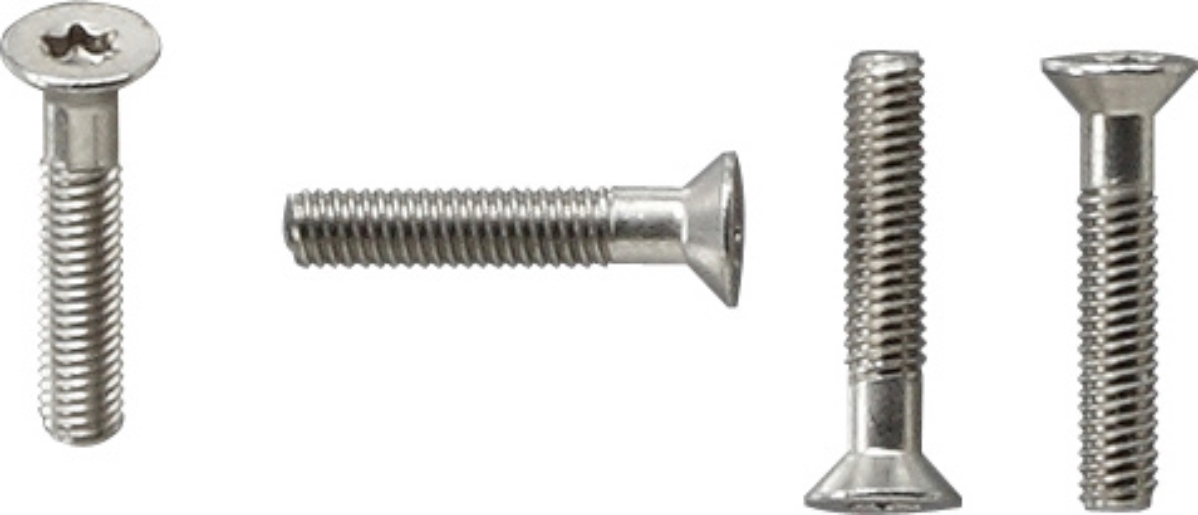 1St. Gira 140200 Torx-Schrauben 30 Stck. TX_44