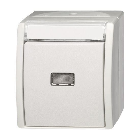 1St. Busch-Jaeger 2621 WN-54-201 Wipptaster, Schließer ocean (IP 44) alpinweiß