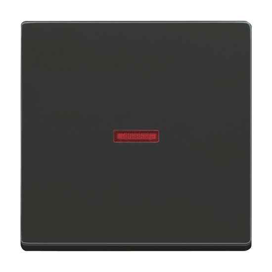 1St. Busch-Jaeger 1789-81 Wippe für Kontrollschalter mit roter Kalotte Busch-dynasty anthrazit