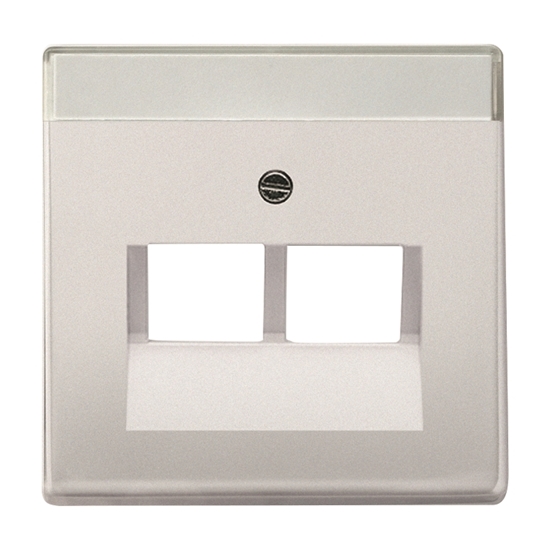 1St. Busch-Jaeger 1803-02-866 Zentralscheibe für UAE 2-fach pur edelstahl edelstahl