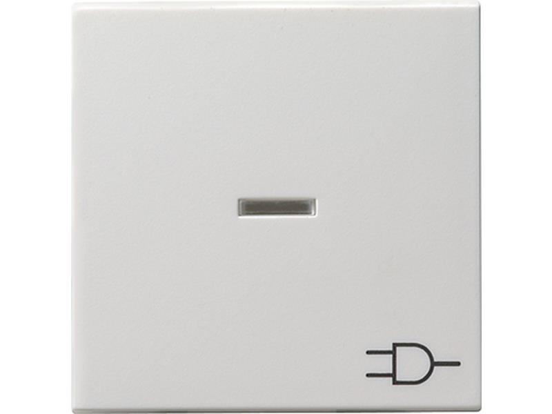 1St. Gira 020903 Wippe Kontroll Symbol Steckdose System 55 Reinweiß glänzend