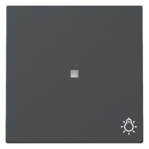 1St. Gira 367428 Wippe Kontrollfenster + Symbol Licht System 55 anthrazit