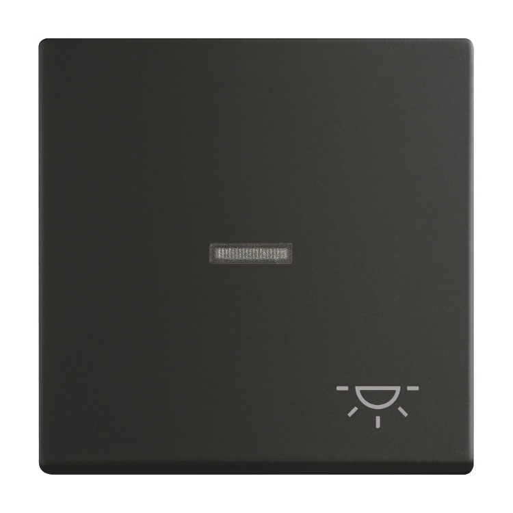 1St. Busch-Jaeger 1789 LI-885 Wippe mit Aufdruck Licht, mit kleiner transparenter Kalotte carat schwarz matt