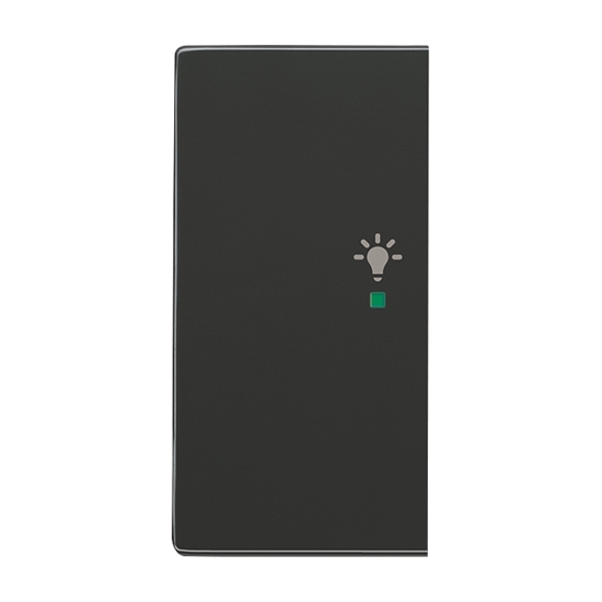 1St. Busch-Jaeger 6231-21-81 Wippe, 2-fach links, mit Symbol Licht Busch-free@home anthrazit