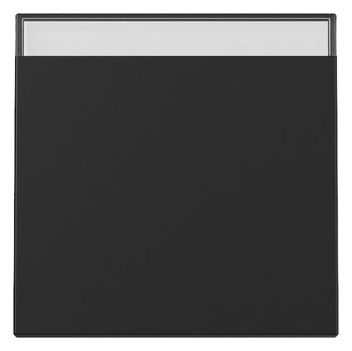 1St. Gira 3299005 Wippe BSF System 55 schwarz matt