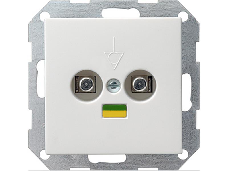 1St. Gira 040503 Potentialausgleich 2fach System 55 Reinweiß glänzend