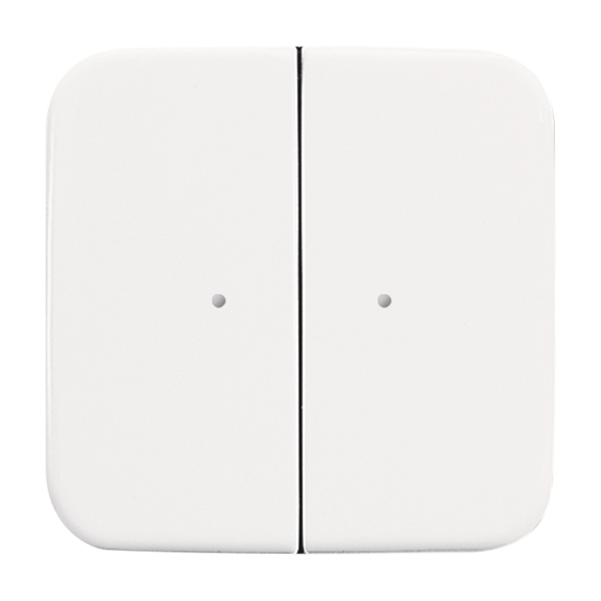 1St. Busch-Jaeger 6732-214 Wandsender WaveLINE, 2 Kanal Reflex SI alpinweiß