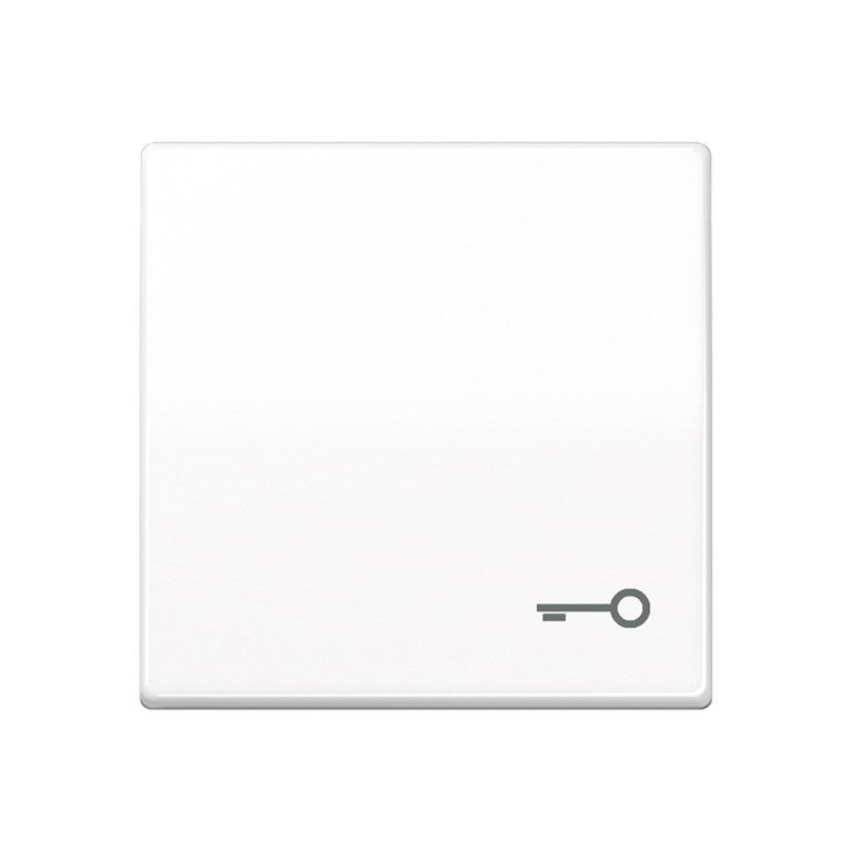 1St. Jung AS591TWW Wippe mit Symbol Tür Alpinweiß AS 591 T WW