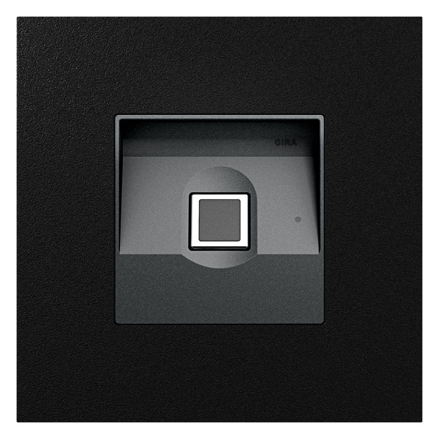 1St. Gira 5551925 Gira Keyless In Fingerprintmodul System