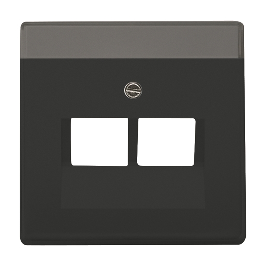 1St. Busch-Jaeger 1803-02-81 Zentralscheibe für UAE 2-fach Busch-dynasty anthrazit