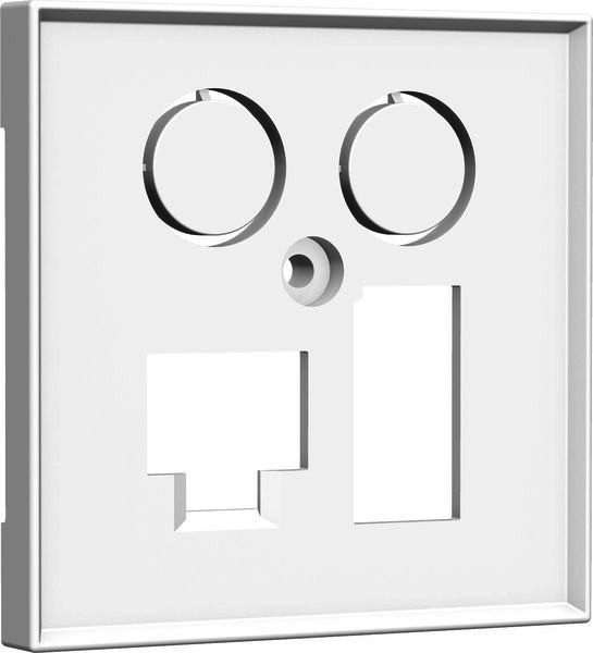 1St. Homeway HW-ZLTRWG55V1 Zentralplatte TV + LAN/TAE (55 x 55mm)