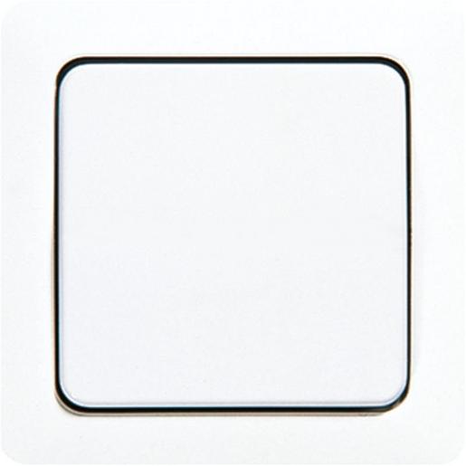 1St. Jung 5561WW Wippe Zentralplatte für Schalter Taster und Taster BA 1fach 5561 WW, alpinweiß glänzend 1St. Jung 5561WW Wippe Zentralplatte für Schalter Taster und Taster BA 1fach 5561 WW, alpinweiß glänzend