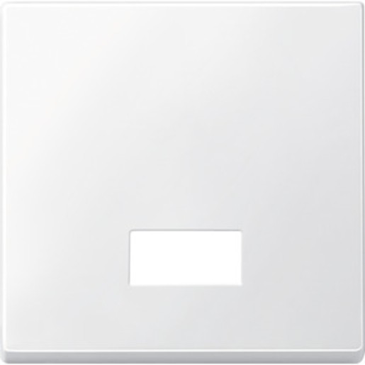 1St. Merten 434819 Wippe mit rechteckigem Symbolfenster, polarweiß, System M