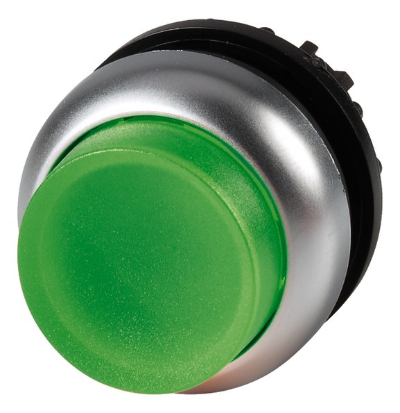 1St. Eaton 216969 M22-DLH-G M22-DLH-G Leuchtdrucktaste hoch, grün, blanko, Zubehör für Meldegerät