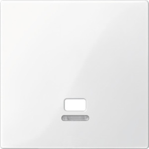 1St. Merten MEG3380-0319 Zentralplatte mit Kontrollfenster für Zugschalter, polarweiß glänzend, System M