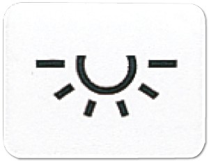 1St. Jung 33LWW Taster-Symbol Licht 33 L WW