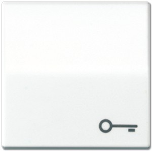 1St. Jung AS591TWW Wippe mit Symbol Tür Alpinweiß AS 591 T WW